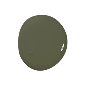 Colourtrend Sweet Caper Paint Colour, Deep Green, 100ml for Home Decor