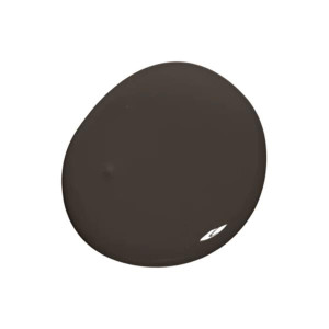 Bitter Chocolate Paint Colour by Colourtrend, 100Ml
