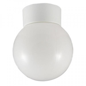 Evolec Bathroom Globe 100W