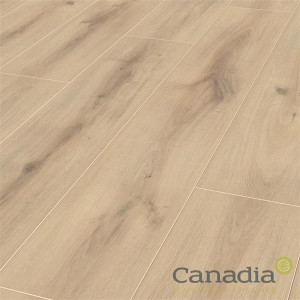 Canadia Flooring Sofia Oak 8Mm