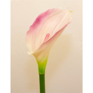 Enchante Real Feel Artificial Calla Lily Stem Pink/Cream 67Cm
