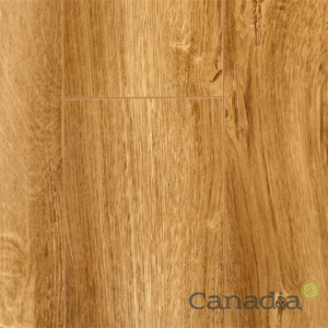 Canadia Flooring Rustic Oak Gloss 12Mm