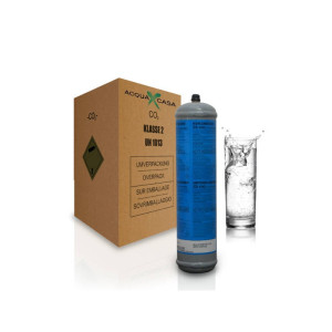 Eurotre Scatola 6 bombole Co2 Usa e Getta 600gr