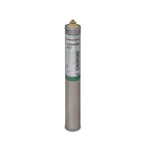 Acquaxcasa Filtro Everpure XC2 EV9613-10