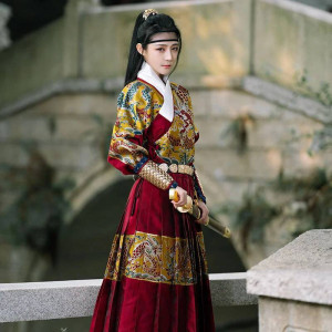 NONE Ming-Dynastie Hanfu Männer und Frauen echte Make-up Blume Weben Gold Aufkleber fliegende Fische Kleidung alte Kleidung