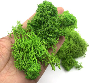 Uflower 200 g künstliche Grünpflanzen, Mini-Landschaft, ewiges Leben, Moosgras, Kunstgras, Garten, Wohnzimmer, Heimdekoration, DIY-Handwerk
