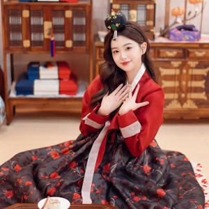UHYTGF Hanbok Koreanisches traditionelles Kleid für Damen, 2025, neues koreanisches Hochzeitskleid, Erwachsenenkleid, verbessertes Gerichtskostüm,