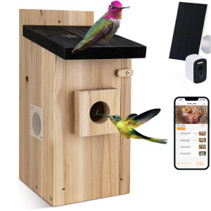 NONE Vogelhuis voor buiten met HD-camera, nestkast voor in de tuin, geschikt voor buitengebruik, automatische vogelvideo-opname met bewegingsdetectie