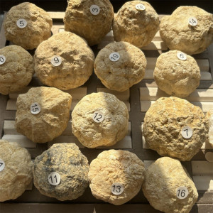 NONE Großhandel Geoden ungeöffnete natürliche Achat Geode echte Kristall Probe enthält Reiki saubere Cluster schöne Steine Schmuck Geschenke