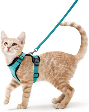 NONE Katzengeschirr und Leine zum Spazierengehen, auslaufsichere, weiche, verstellbare Weste, Geschirre für Katzen, EasyControl