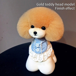 NONE Kran Marke Haustier Simulation Haarpflege gefälschte Hund Kopf Modell Praxis Hund Standard Teddy Kopf Skelett Modell Hund Kopf gefälschte Haar