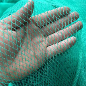 MAHFPME Vogelnetz, Gartennetz, Pflanzenabdeckungsnetz, vogelsicheres Netz, Geflügelnetz, zum Schutz von Gemüse, Obst und Pflanzen