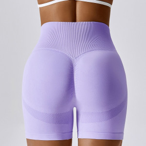 CZGUKE Frauen Shorts Nahtlose Sport Shorts Für Frauen Radfahren Jogging Fitness Hohe Taille Push-Up Gym Shorts Leggings Frauen Yoga Kleidung