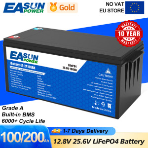 Easun Power Lifepo4 Batterij 50ah 100ah 200ah 12V 24V Bms Oplaadbare Lithium Bateria Pack Voor Camping Auto Zonne-Energie Geen Belasting 12V 100AH