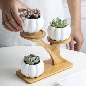Zestaw doniczek ceramicznych sowa