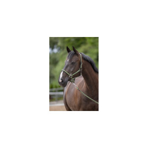 Kantar dla konia Hippo, antracyt/jasnozielony, Covalliero, Rozmiar - Foal