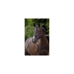 Kantar dla konia Hippo, fioletowy, Covalliero, Rozmiar - Foal