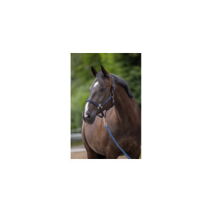 Kantar dla konia Hippo, granatowy, Covalliero, Rozmiar - Foal