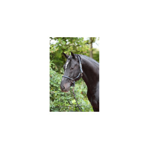 Kantar dla konia Cordano, niebieski, Covalliero, Rozmiar - Pony