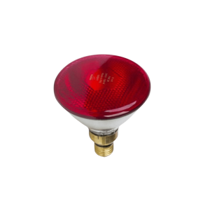 Promiennik żarówka kwoka lampa grzewcza 175W czerwona