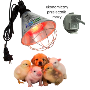 Lampa grzewcza sztuczna kwoka + promiennik ZESTAW
