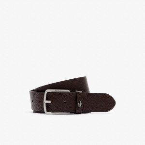 Grained leather croc accent belt