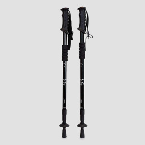 Kije trekkingowe do nordic walking Line Sport - czarny