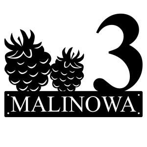 Numer na dom z malinami || Personalizowane numery na dom || Stalowe tabliczki adresowe z grafiką || Czarny mat || Unikalne grafiki || Personalizacja || Alaser