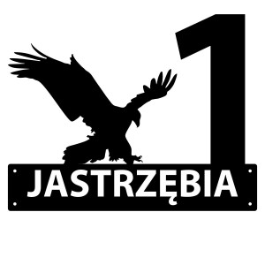 Numer na dom z jastrzębiem || Personalizowane numery na dom || Stalowe tabliczki adresowe z grafiką || Czarny mat || Unikalne grafiki || Personalizacja || Alaser