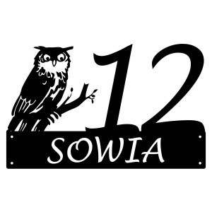 Numer na dom z sową || Personalizowane numery na dom || Stalowe tabliczki adresowe z grafiką || Czarny mat || Unikalne grafiki || Personalizacja || Alaser