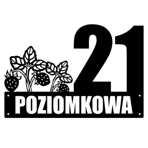 Numer na dom z poziomką || Personalizowane numery na dom || Stalowe tabliczki adresowe z grafiką || Czarny mat || Unikalne grafiki || Personalizacja || Alaser