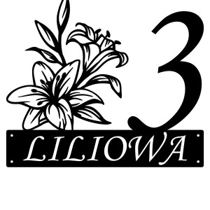 Numer na dom z grafiką || Personalizowane numery na dom || Stalowe tabliczki adresowe z grafiką || Czarny mat || Unikalne grafiki || Personalizacja || Alaser