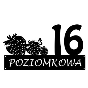 Numer na dom z poziomką || Personalizowane numery na dom || Stalowe tabliczki adresowe z grafiką || Czarny mat || Unikalne grafiki || Personalizacja || Alaser