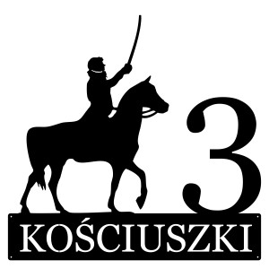 Numer na dom z postacią i koniem || Personalizowane numery na dom || Stalowe tabliczki adresowe z grafiką || Czarny mat || Unikalne grafiki || Personalizacja || Alaser