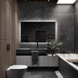 Slimme badkamerspiegel met verlichting- AGIS SMART LED