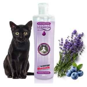 Super Benek Premium Szampon pielęgnacyjny dla kotów Lawenda Borówka 250ml
