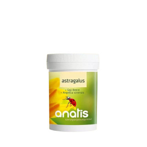 Astragalus