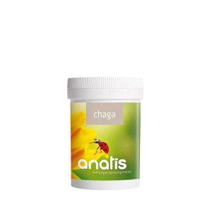 Chaga Vitalpilz