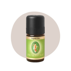 Primavera Ingwer Bio 5ml