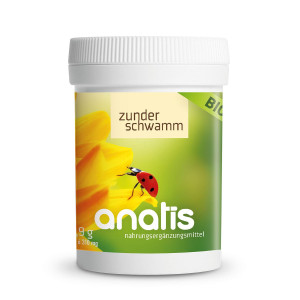 Zunderschwamm Vitalpilz BIO