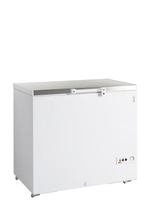 Zamrażarka na lody FR305S SL | TEFCOLD