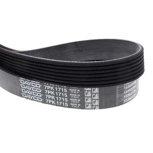 Dayco Drive Belt 202771175