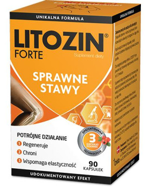 Litozin Forte, kapsułki, 90 sztuk