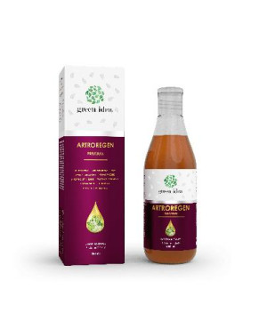 Green Idea Artroregen Premium Syrop na stawy, 250 ml