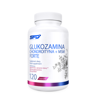 SFD Glukozamina Chondroityna Msm Forte, kapsułki, 120 sztuk