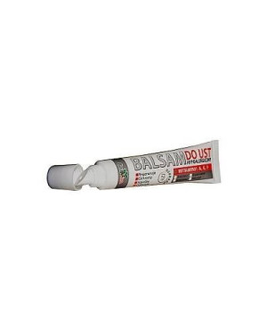 GorVita, Balsam do ust z witaminami A, E, F, 20 ml