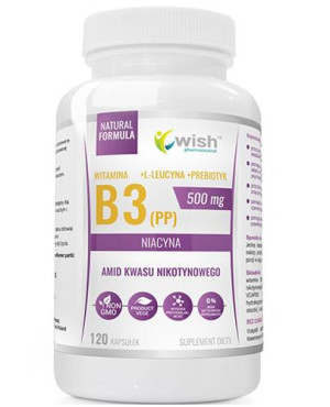 Wish Niacyna Witamina B3, 500 mg, kapsułki, 120 sztuk