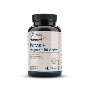 PharmoVit Potas + Magnez + B6 Active, kapsułki, 120 sztuk