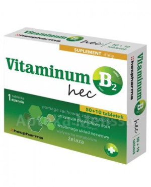 Vitaminum B2 Hec, tabletki, 60 sztuk