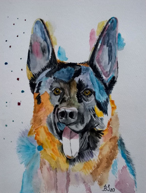 Azor, akwarela. format 24x32 cm.